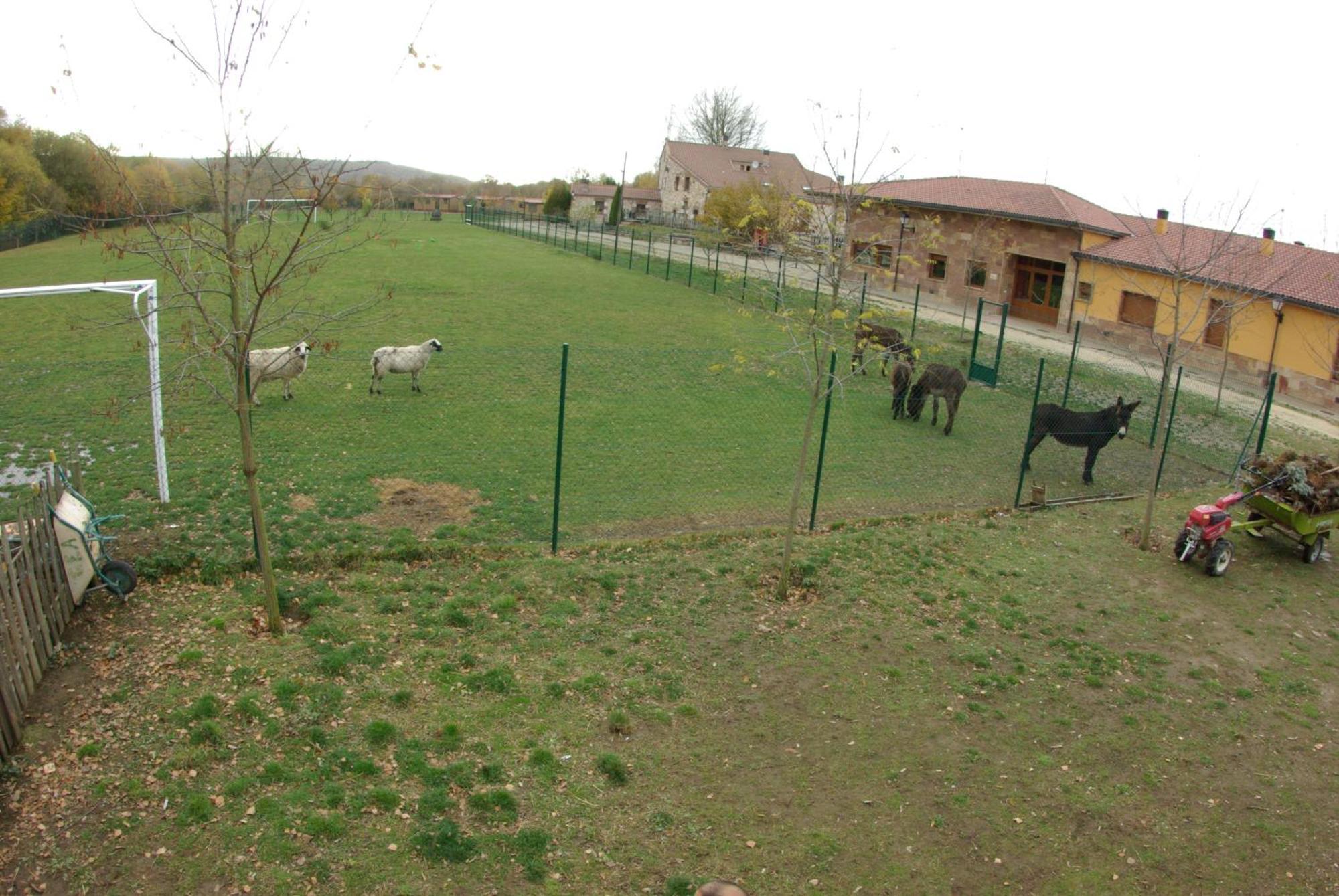 Bungalows Granja Escuela Arlanzón Exterior foto